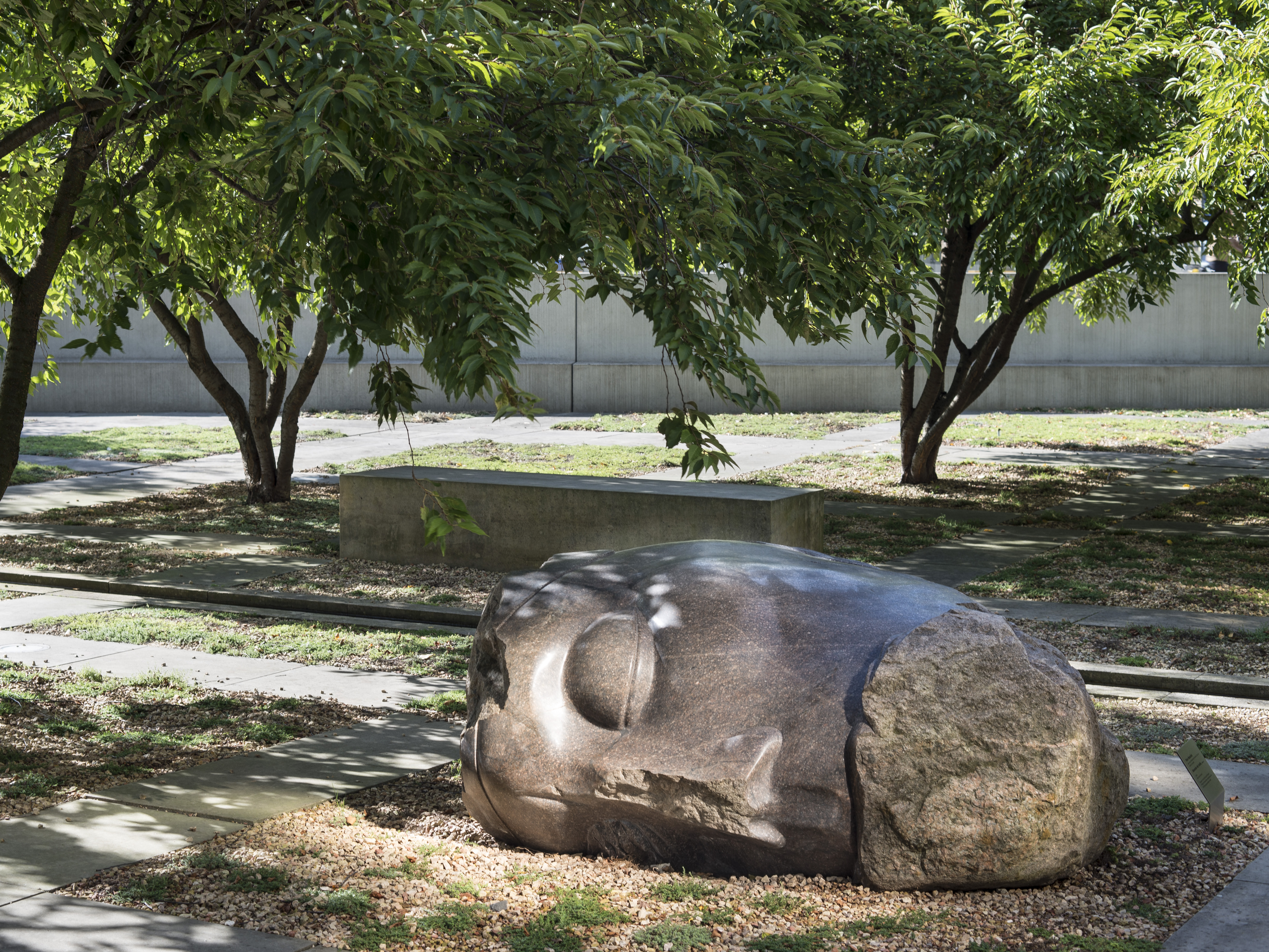 KI generiert: Das Bild zeigt eine große Steinskulptur eines menschlichen Kopfes, die auf dem Boden in einem sonnigen, baumbestandenen Außenbereich ruht. Die Skulptur ist von grünen Bäumen und Gehwegen umgeben.