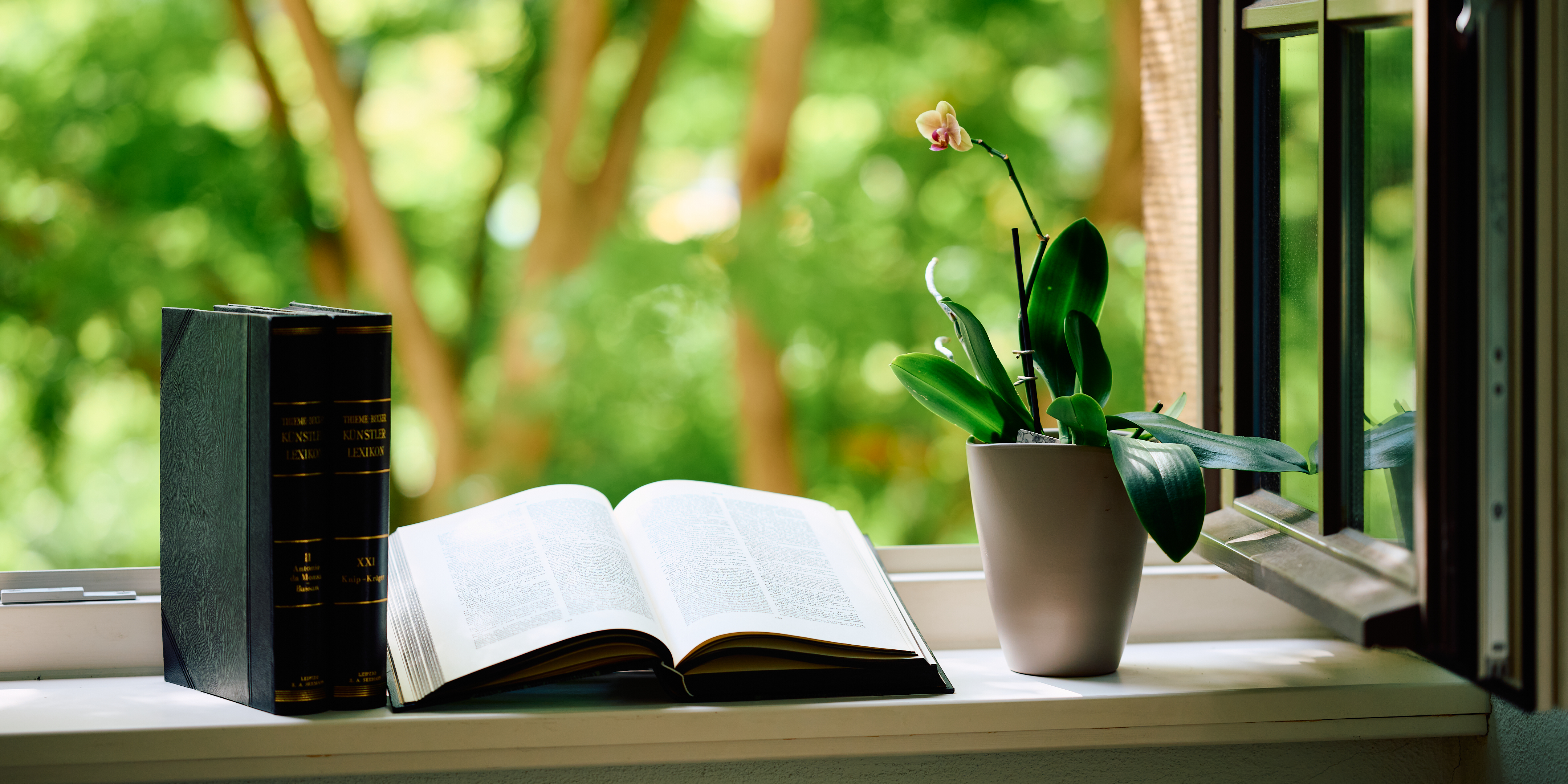 KI generiert: Das Bild zeigt eine Fensterbank mit zwei Büchern und einer Pflanze in einem Blumentopf, mit einem geöffneten Fenster im Hintergrund. Der Fokus liegt auf den Büchern und der Pflanze, die von natürlichem Licht beleuchtet werden.