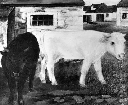 Rinder, um 1925 